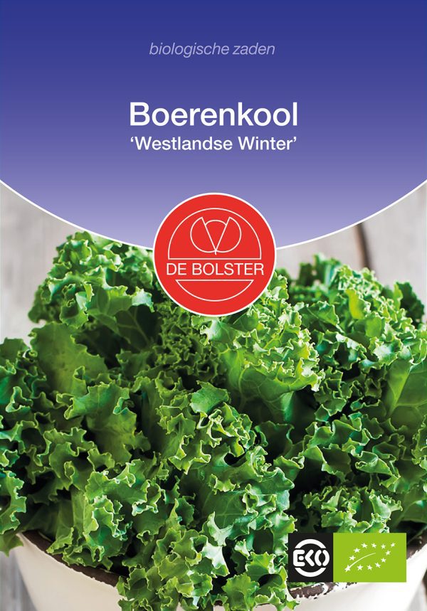 Boerenkool 'Westlandse winter'