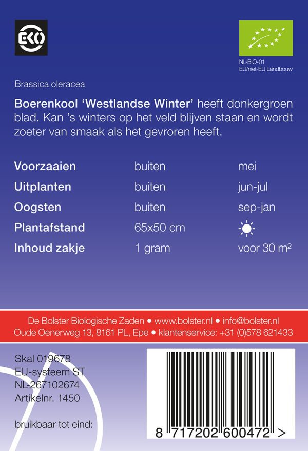 Boerenkool 'Westlandse winter' - Afbeelding 2