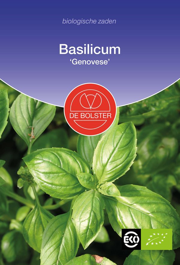 Basilicum 'Genovese'