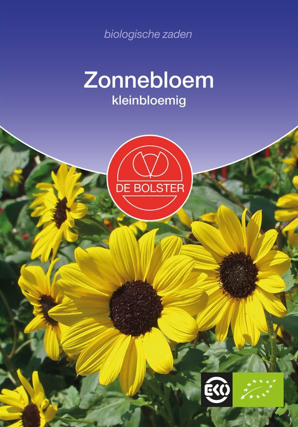 Zonnebloem 'kleinbloemig'