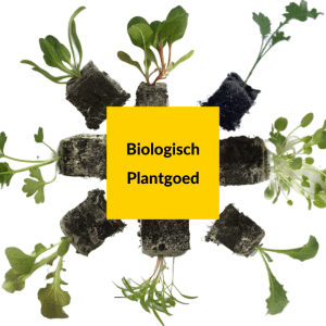 Biologisch plantgoed