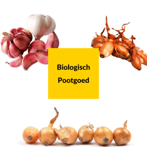 Biologisch pootgoed