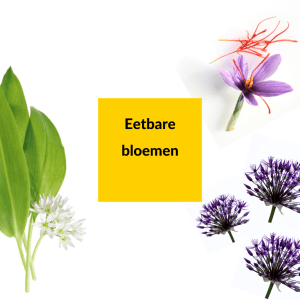 Eetbare bloemen