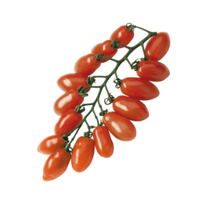 Cherry Tomaat Rood pruimvormig