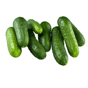 Augurk
