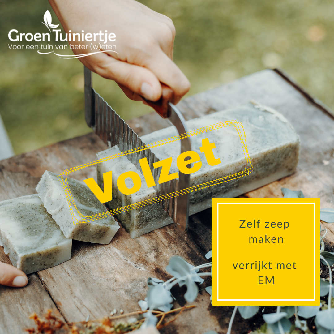 Kopie van groentuiniertje (79)